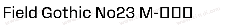 Field Gothic No23 M字体转换